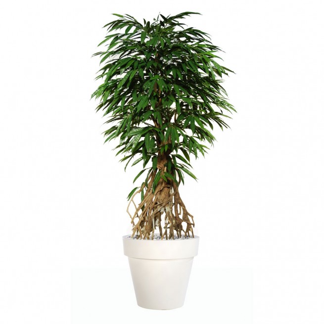 Planta semi-artificiala Ila, Longifolia Root Green - 260 cm